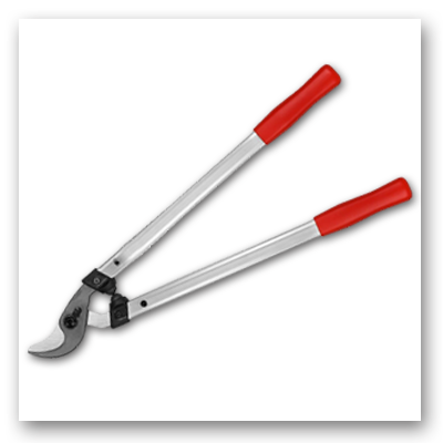 SOLO Swiss_Acitivites_Tools_Lopper